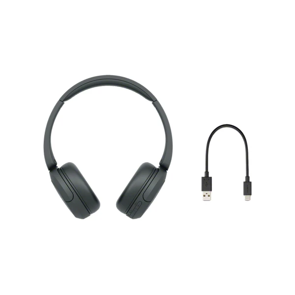 هدفون سونی WH-CH520